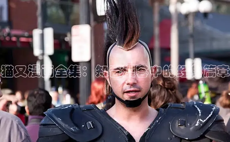 樱花专注动漫的门户网站入口